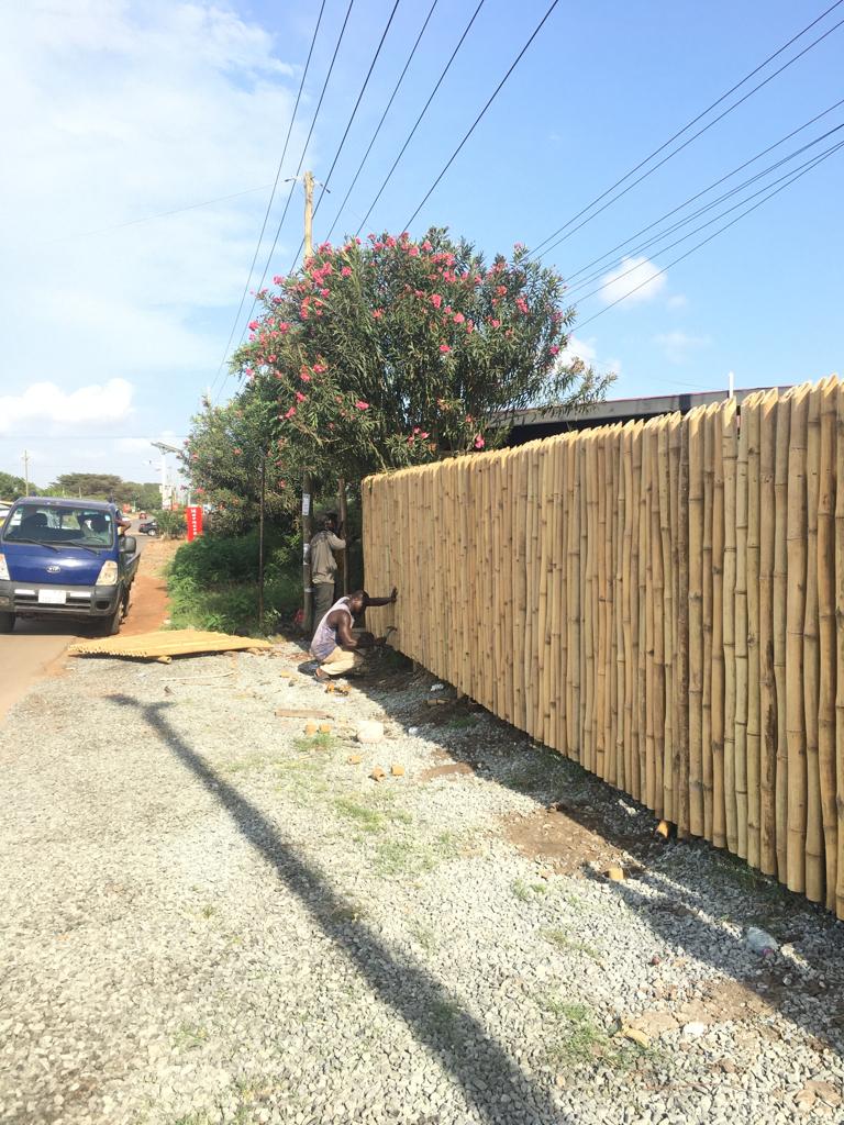Bamboo pole fencing installed along a roadside boundary